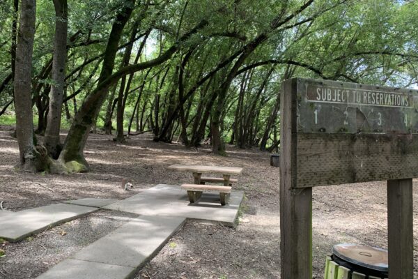 Pinole Valley Park & Picnic Grove